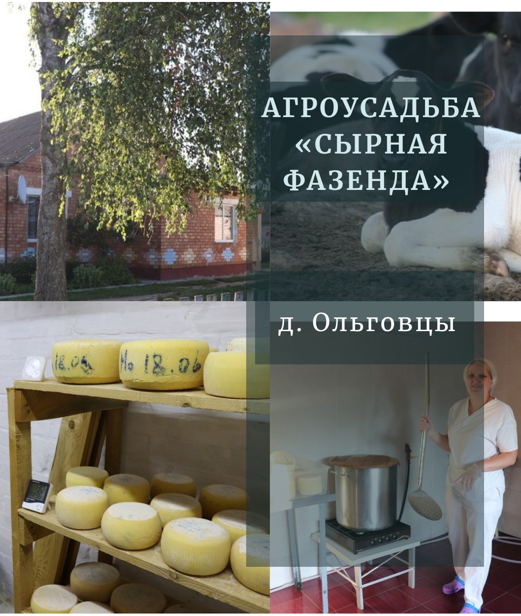 Агроэкоусадьба «Сырная фазенда»