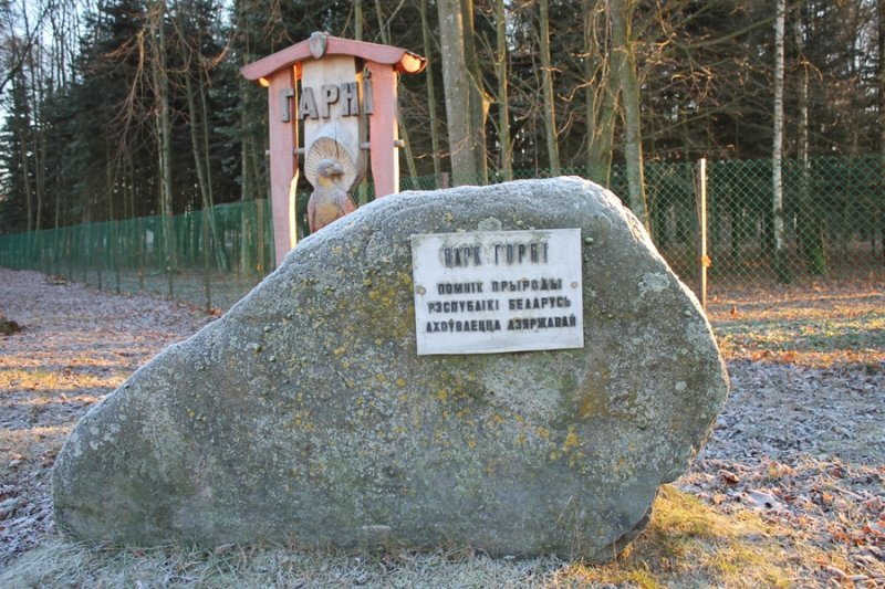 Ботанический памятник природы местного значения «Парк «Горни»