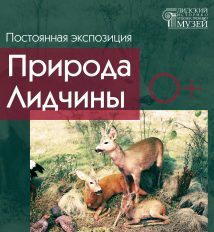 Экспозиция «Природа Лидчины» в Лидском историко-художественном музее
