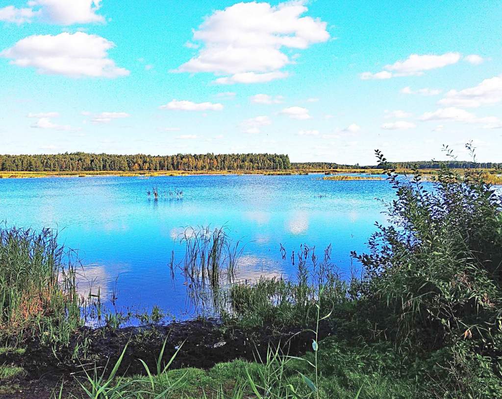 Гидрологический заказник местного значения
